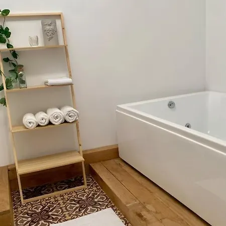 Jacuzzi Clim Proche Centre Appartement